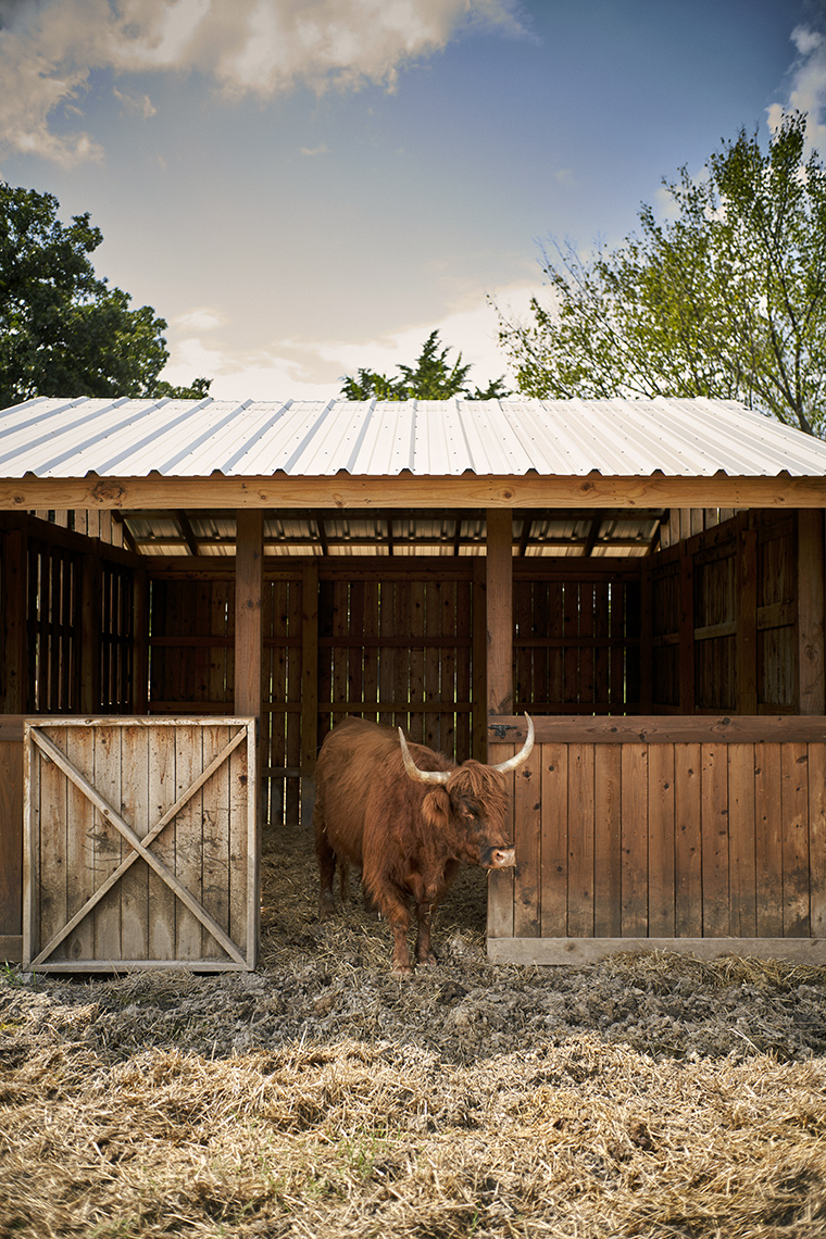 DSP_TX_HWY_BontonFarms_0079